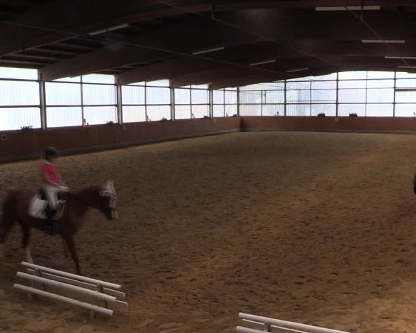 Reitturnier Herbern 2019