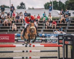 jumper Zonnedoeptoltien (KWPN (Royal Dutch Sporthorse), 2004, from Kashmir van't Schuttershof)