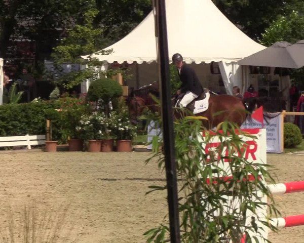 Reitturnier Hörup 2019