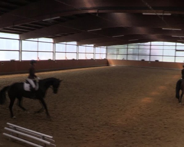 Reitturnier Herbern 2019