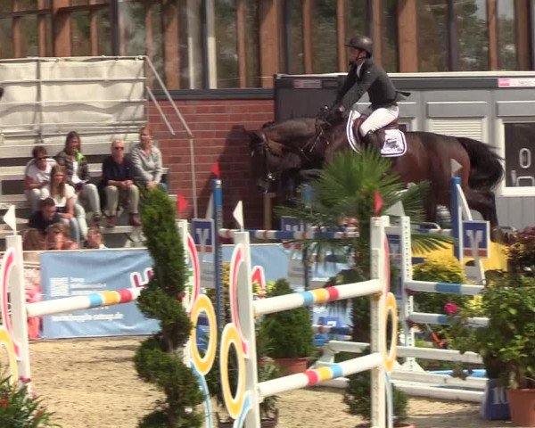 Reitturnier Hörup 2019