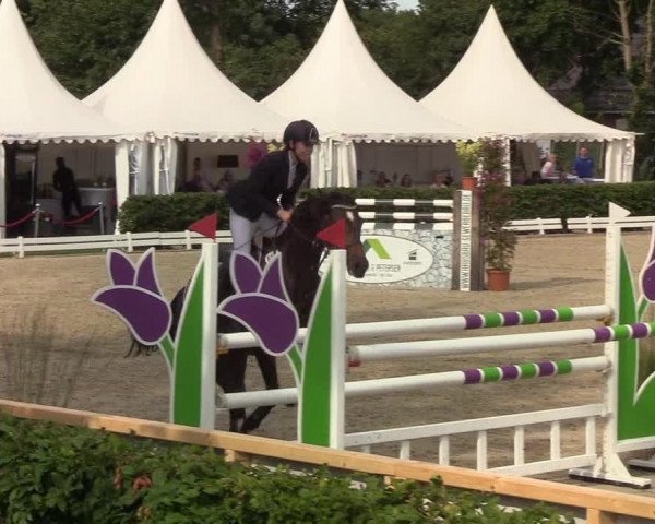 Reitturnier Hörup 2019