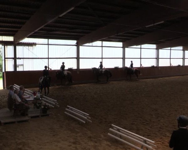 Reitturnier Herbern 2019