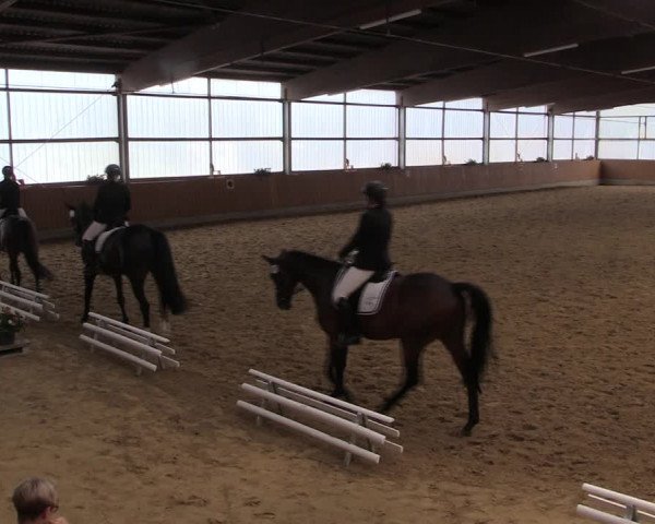 Reitturnier Herbern 2019