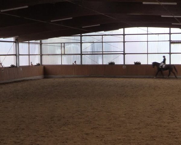 Reitturnier Herbern 2019