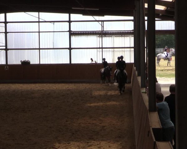 Reitturnier Herbern 2019