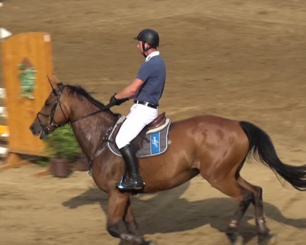 Reitturnier CSN Calvörde 2019