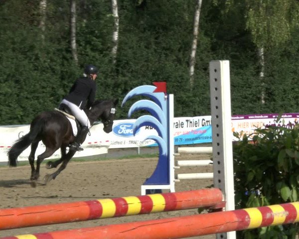 Reitturnier Herbern 2019