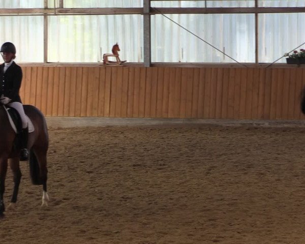 Reitturnier Herbern 2019