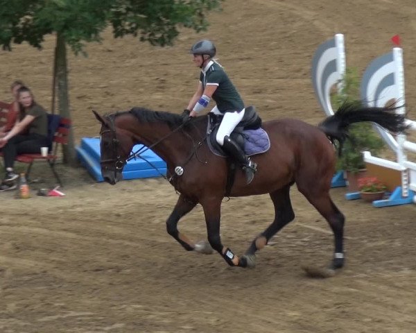Reitturnier CSN Calvörde 2019