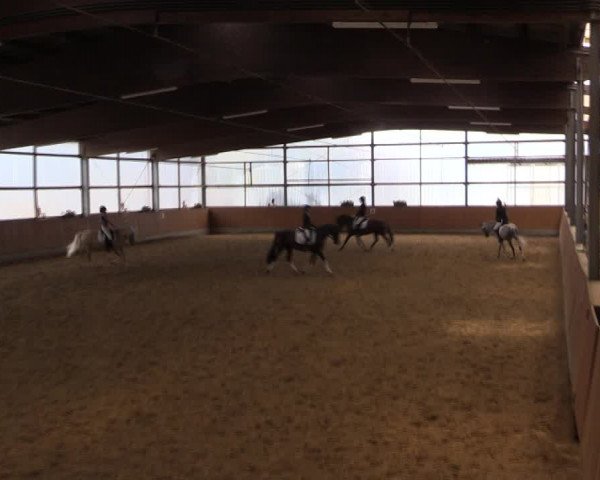 Reitturnier Herbern 2019