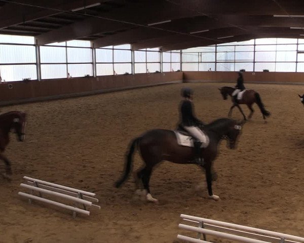 Reitturnier Herbern 2019