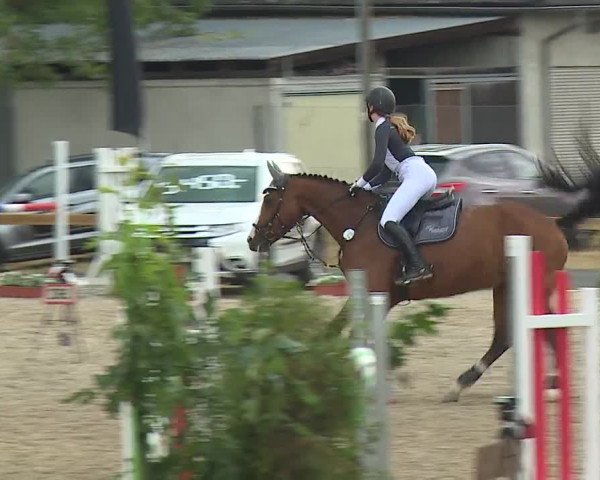 Reitturnier Kleinostheim/Ufr. 2019