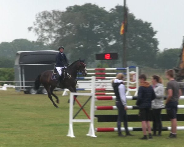 Reitturnier Heide 2019