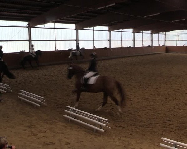Reitturnier Herbern 2019