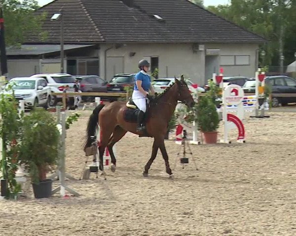 Reitturnier Kleinostheim/Ufr. 2019