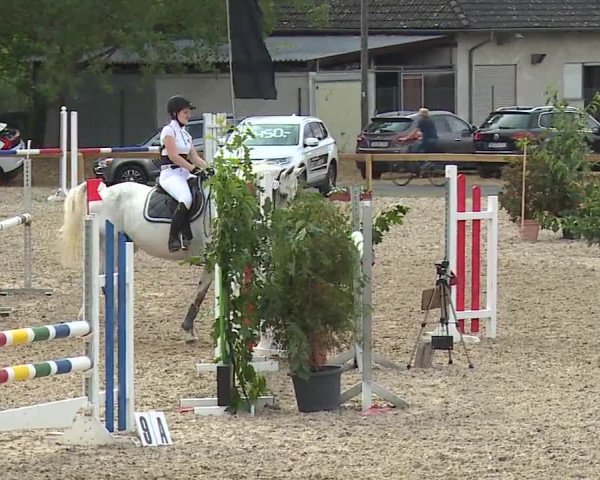 Reitturnier Kleinostheim/Ufr. 2019