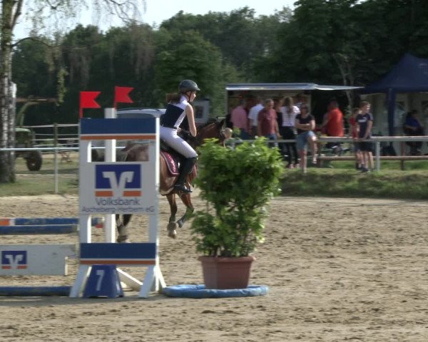 Reitturnier Herbern 2019