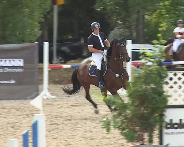 Reitturnier Kleinostheim/Ufr. 2019