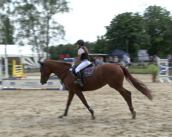 Reitturnier Herbern 2019