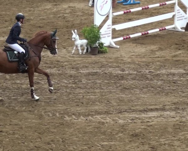 Reitturnier CSN Calvörde 2019