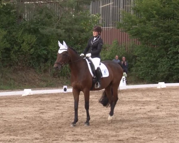 Reitturnier Kleinostheim/Ufr. 2019