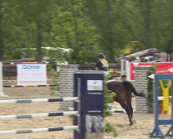 Reitturnier Kleinostheim/Ufr. 2019