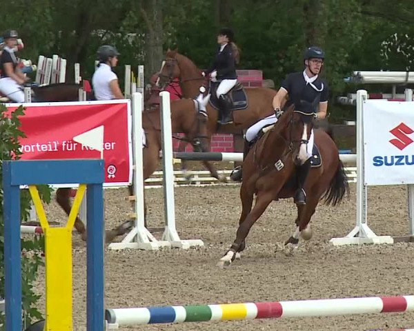 Reitturnier Kleinostheim/Ufr. 2019
