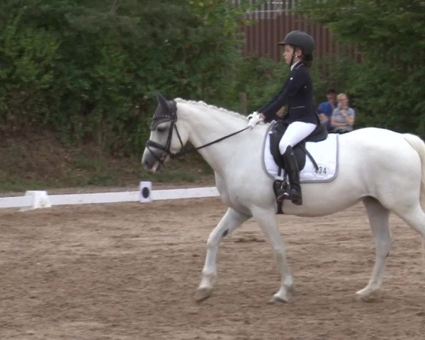 Reitturnier Kleinostheim/Ufr. 2019