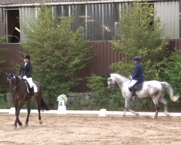 Reitturnier Kleinostheim/Ufr. 2019