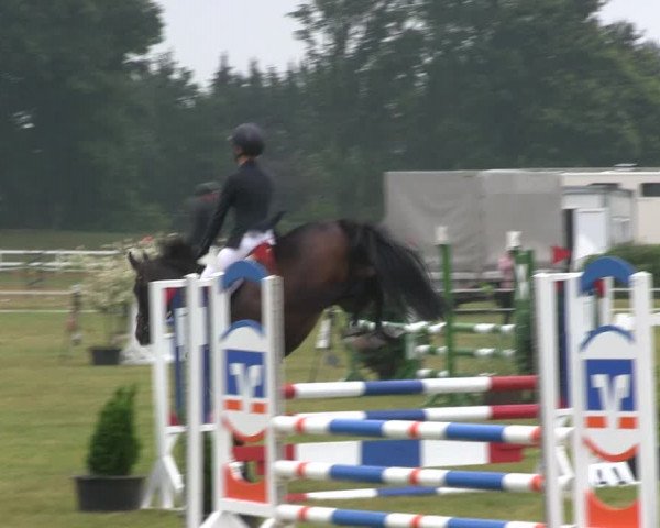 Reitturnier Heide 2019