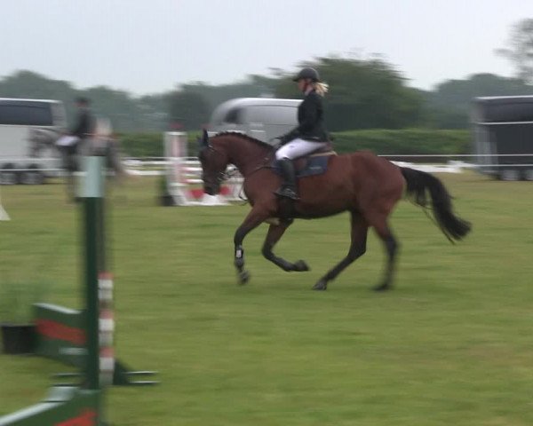 Reitturnier Heide 2019
