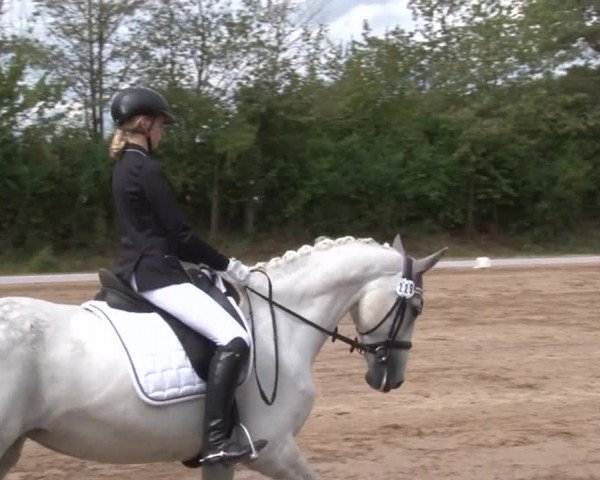 Reitturnier Kleinostheim/Ufr. 2019