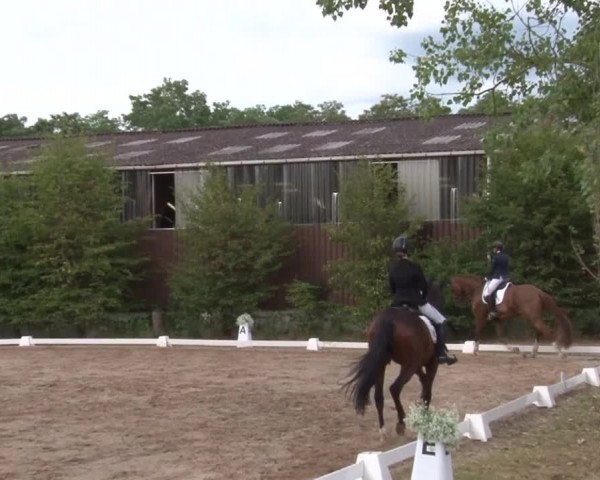 Reitturnier Kleinostheim/Ufr. 2019