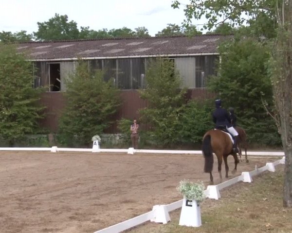 Reitturnier Kleinostheim/Ufr. 2019