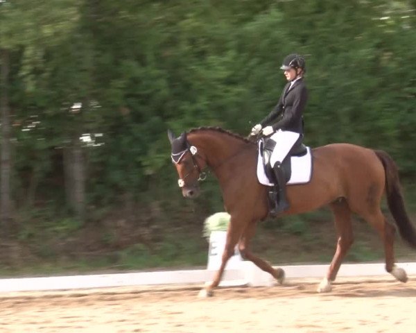 Reitturnier Kleinostheim/Ufr. 2019
