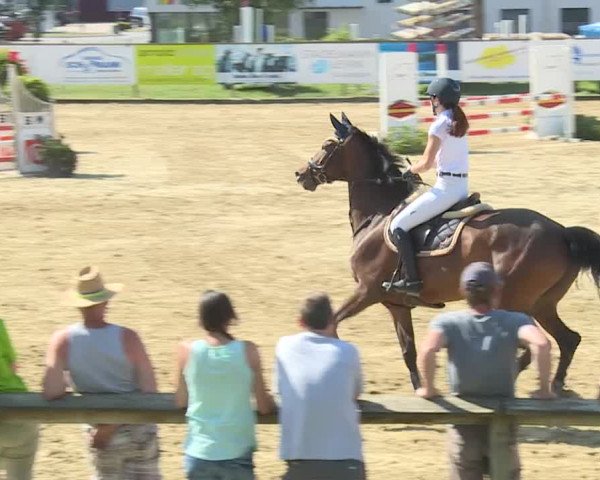 Reitturnier Dagmersellen 2019