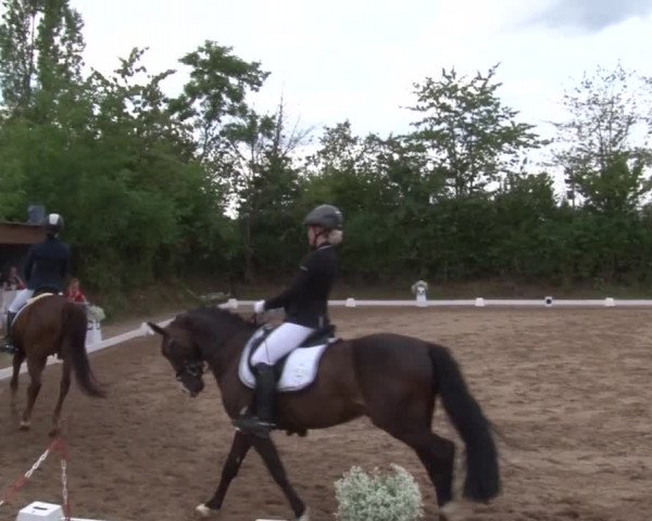 Reitturnier Kleinostheim/Ufr. 2019