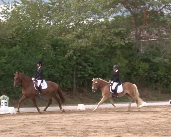 Reitturnier Kleinostheim/Ufr. 2019