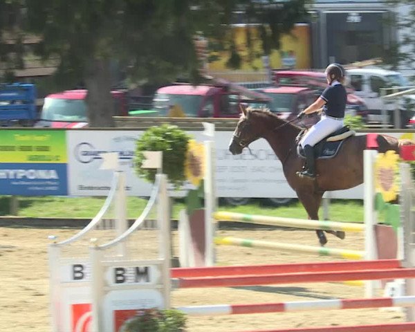 Reitturnier Dagmersellen 2019