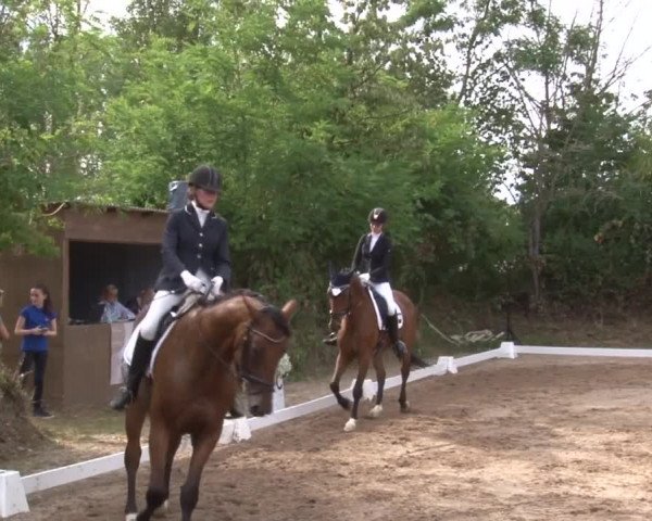 Reitturnier Kleinostheim/Ufr. 2019