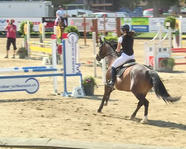 Reitturnier Dagmersellen 2019