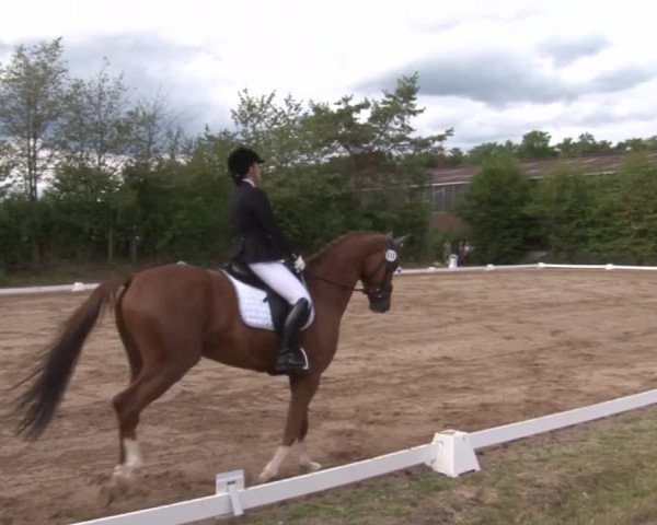 Reitturnier Kleinostheim/Ufr. 2019