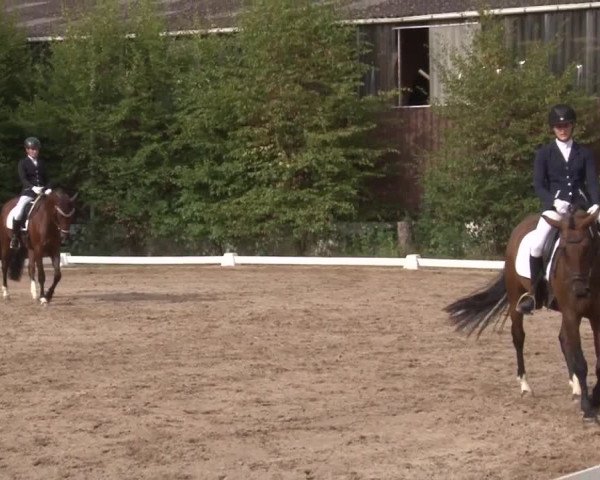 Reitturnier Kleinostheim/Ufr. 2019