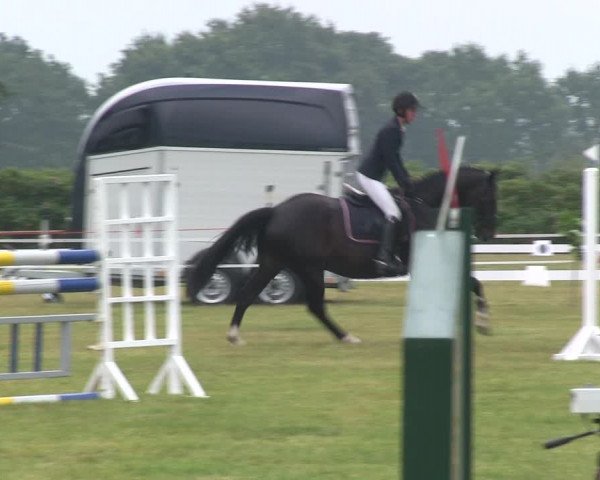 Reitturnier Heide 2019