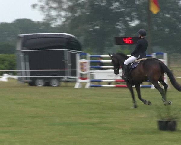 Reitturnier Heide 2019