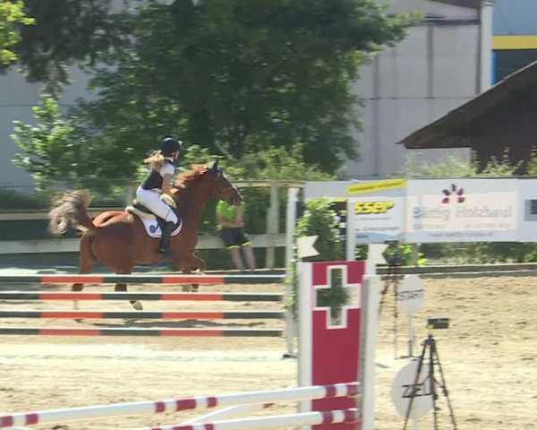 Reitturnier Dagmersellen 2019