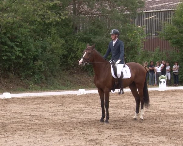 Reitturnier Kleinostheim/Ufr. 2019