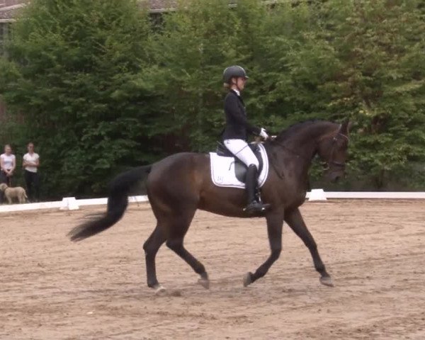 Reitturnier Kleinostheim/Ufr. 2019