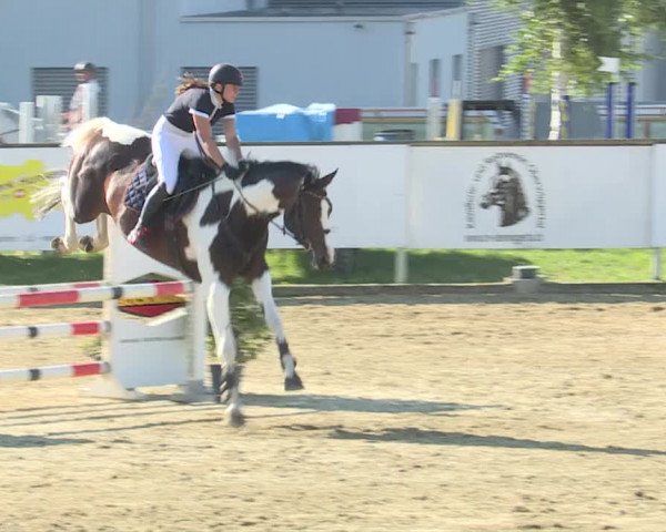 Reitturnier Dagmersellen 2019